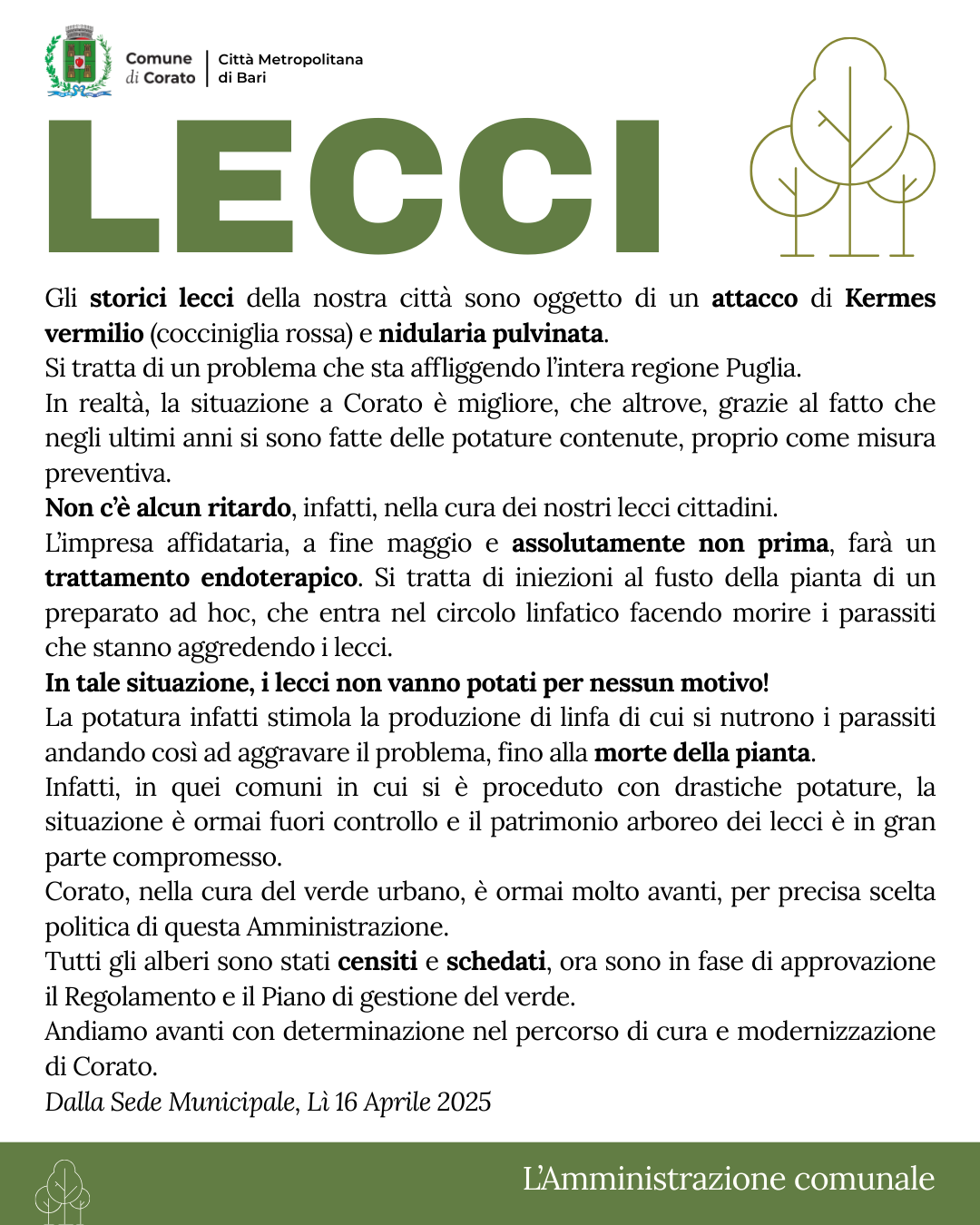 Lecci
