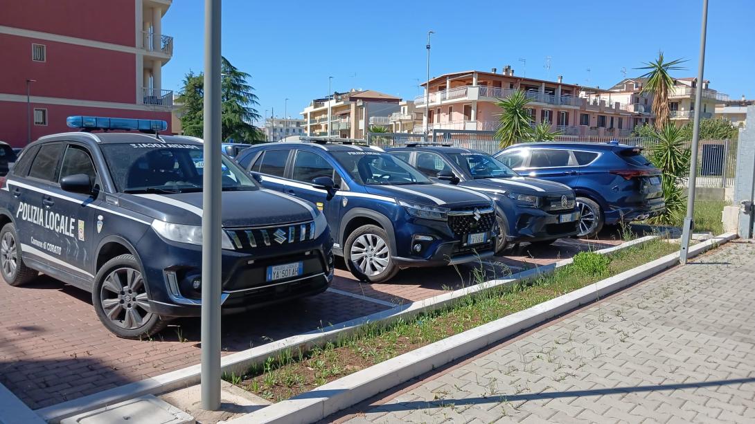 Nuove auto PL